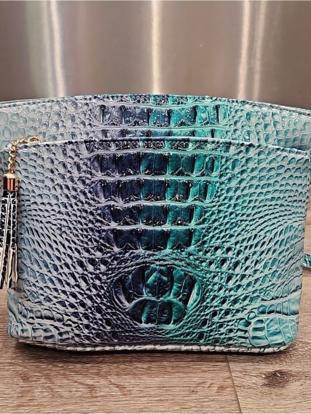 Ombre Croc-Embossed Tassel Crossbody in Tourquios color NWOT.Unknown Brand